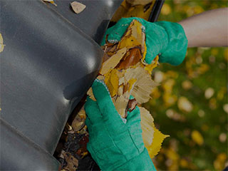 Man cleaning leaves from gutter